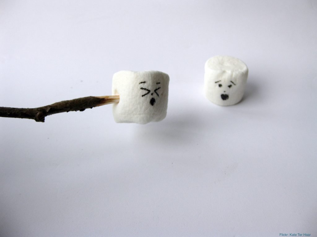 marshmallows