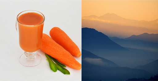 A festive glass of orange juice beside a fresh carrot, embodying the vibrant colors of the holiday season.