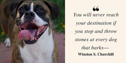 A motivational quote for the holiday season: "Don't let distractions hinder your journey to success and happiness.